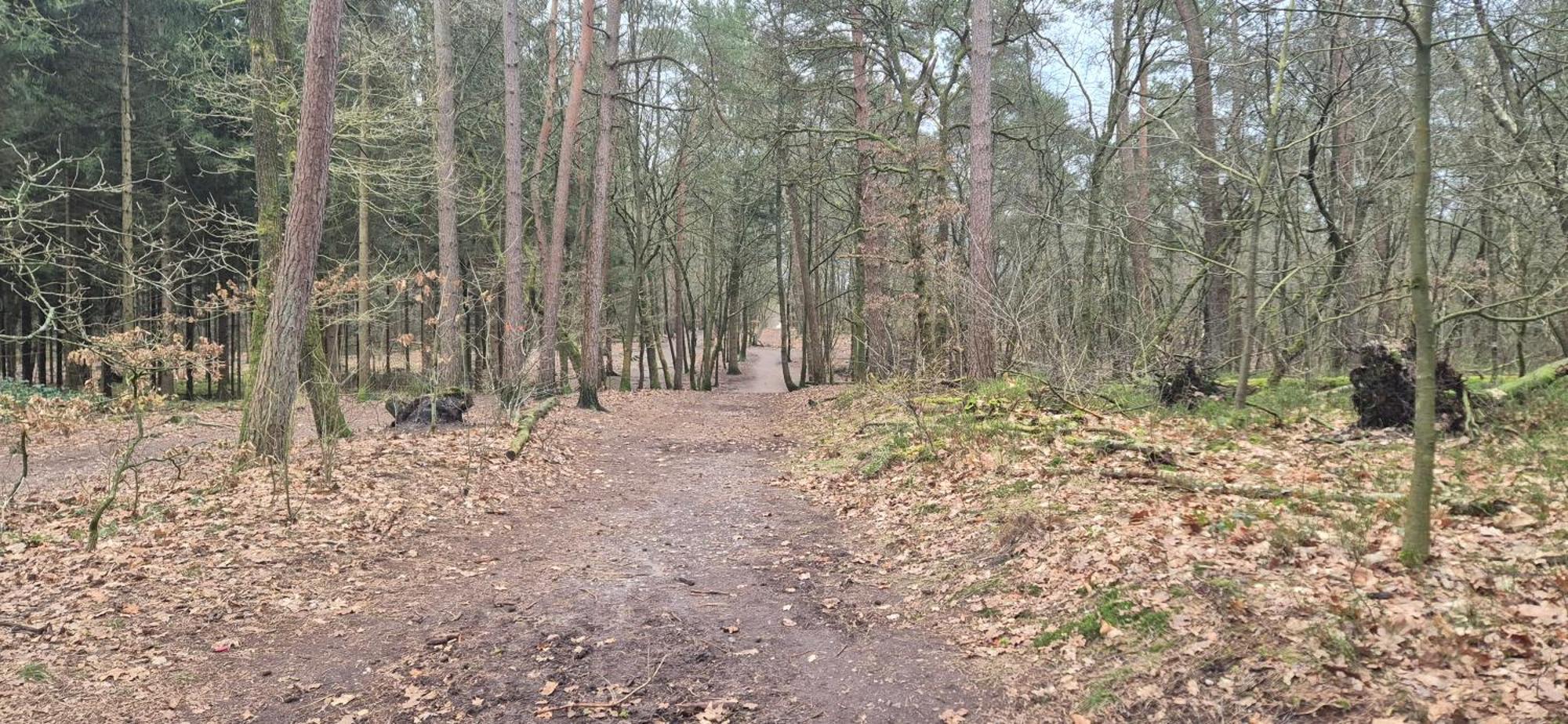 Het Veluwse Boshuisje Knus Chalet Met Omheinde Tuin Op De Veluwe Hoenderloo Exteriör bild