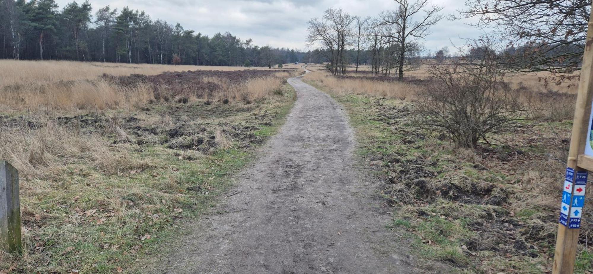 Het Veluwse Boshuisje Knus Chalet Met Omheinde Tuin Op De Veluwe Hoenderloo Exteriör bild