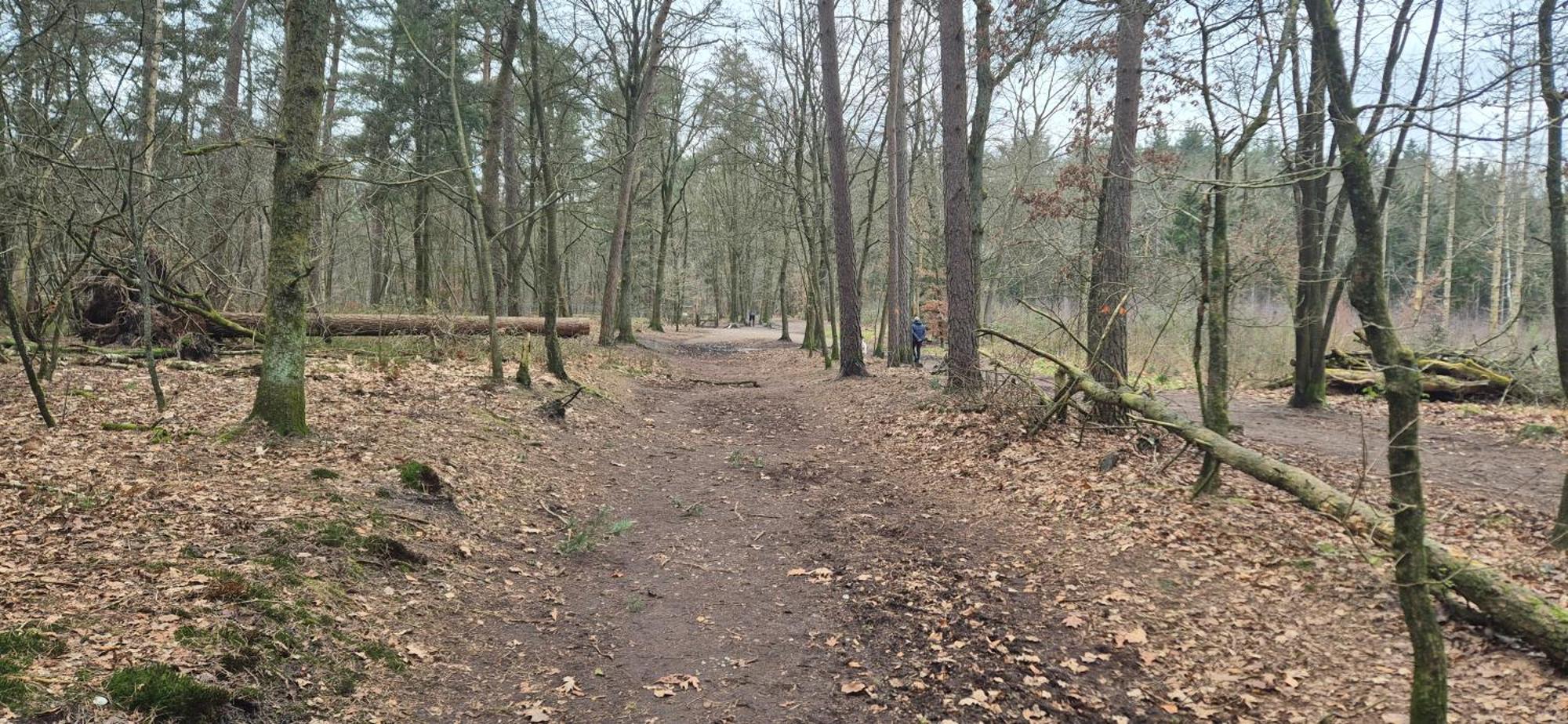 Het Veluwse Boshuisje Knus Chalet Met Omheinde Tuin Op De Veluwe Hoenderloo Exteriör bild