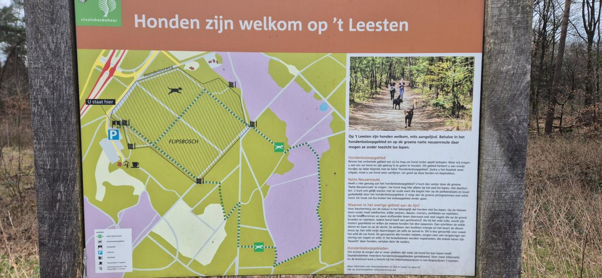Het Veluwse Boshuisje Knus Chalet Met Omheinde Tuin Op De Veluwe Hoenderloo Exteriör bild