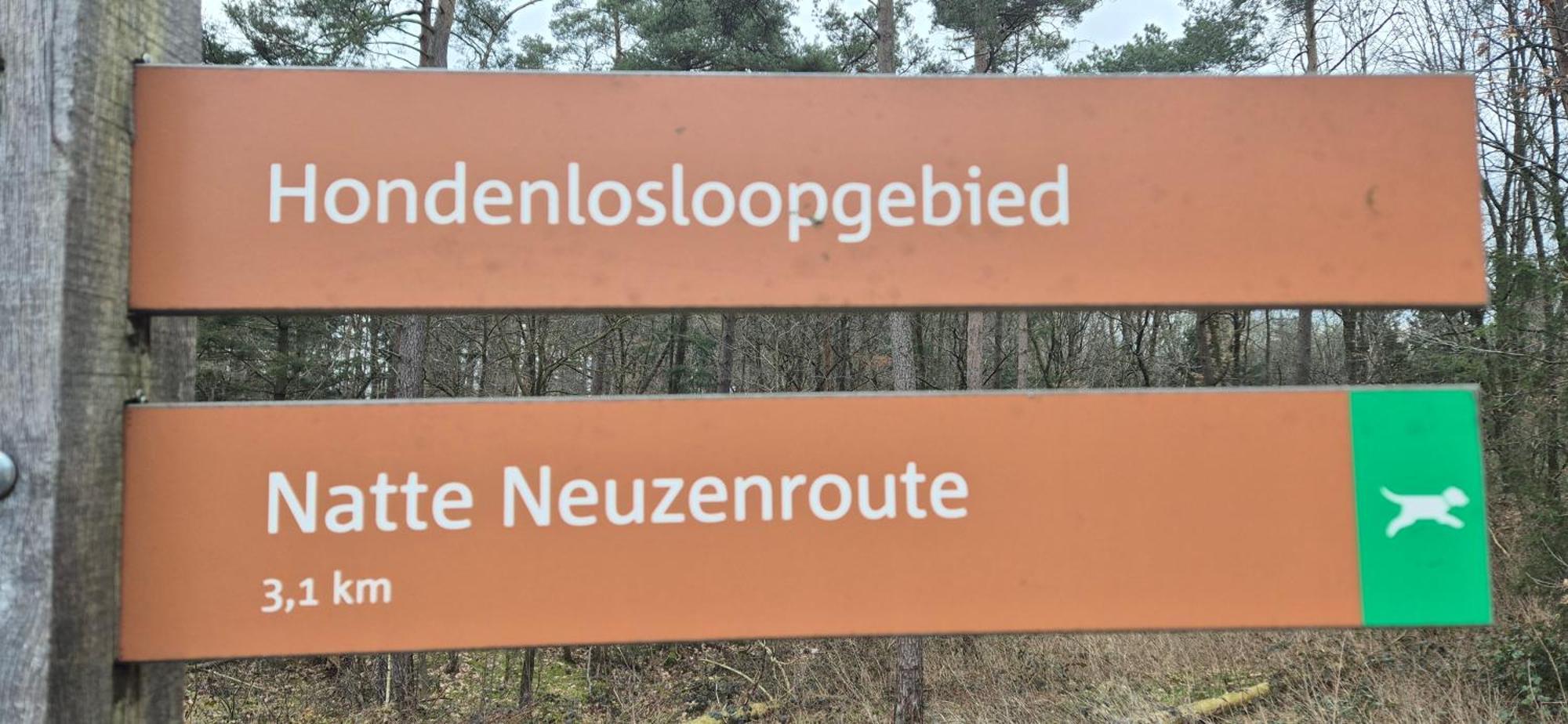 Het Veluwse Boshuisje Knus Chalet Met Omheinde Tuin Op De Veluwe Hoenderloo Exteriör bild